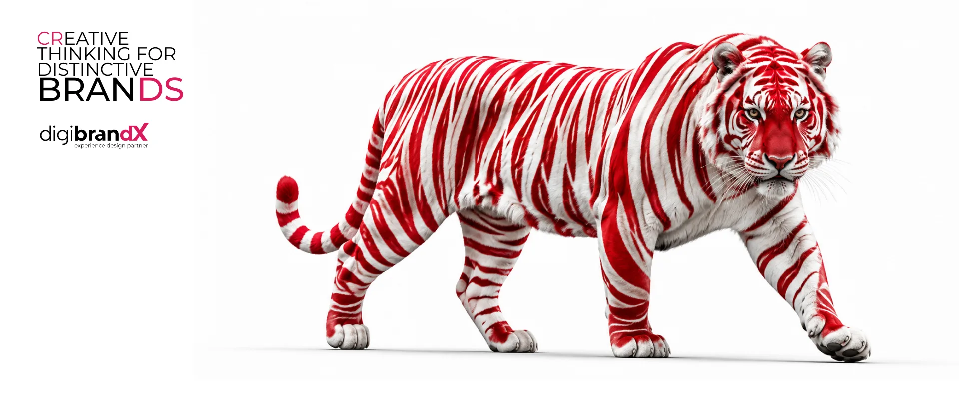 DigiBrandX creative branding agency in Mumbai